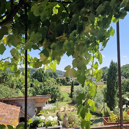 Appartamento La Casa Nella Vigna Colline Del Vino Capannori Esterno foto