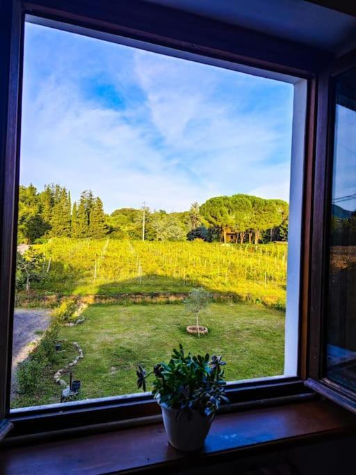 Appartamento La Casa Nella Vigna Colline Del Vino Capannori Esterno foto