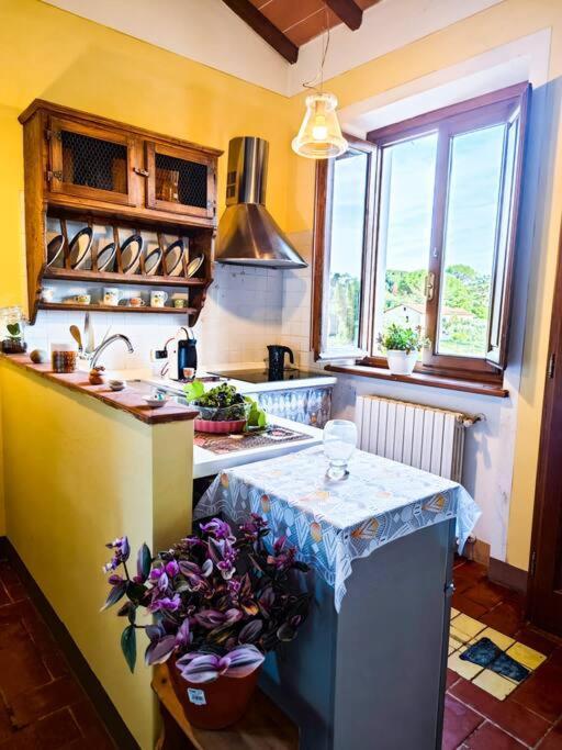 Appartamento La Casa Nella Vigna Colline Del Vino Capannori Esterno foto