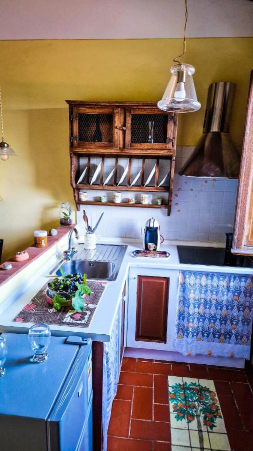 Appartamento La Casa Nella Vigna Colline Del Vino Capannori Esterno foto