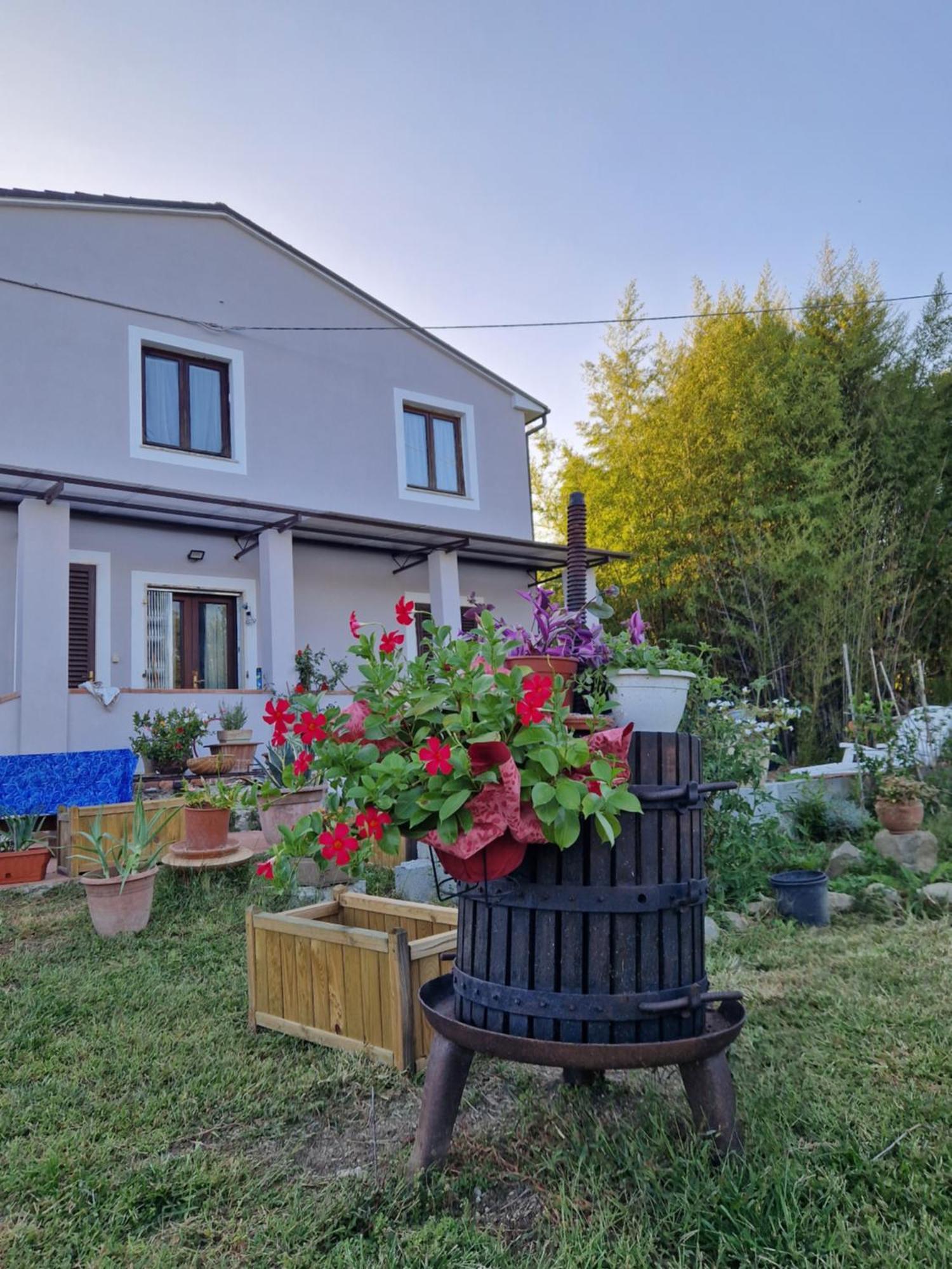 Appartamento La Casa Nella Vigna Colline Del Vino Capannori Esterno foto