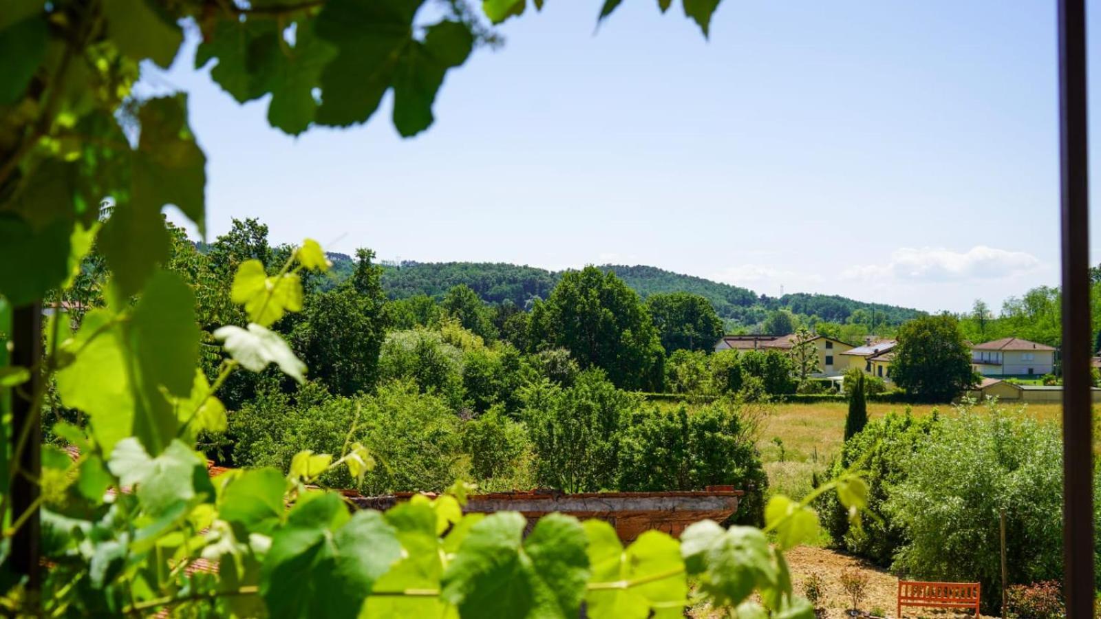 Appartamento La Casa Nella Vigna Colline Del Vino Capannori Esterno foto