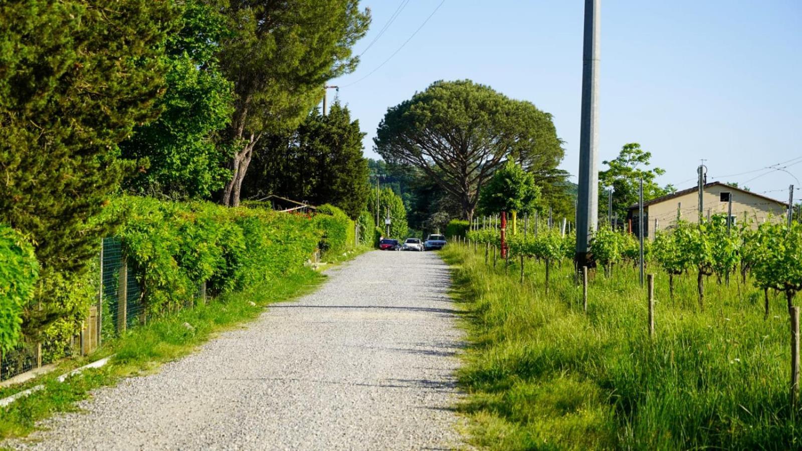 Appartamento La Casa Nella Vigna Colline Del Vino Capannori Esterno foto