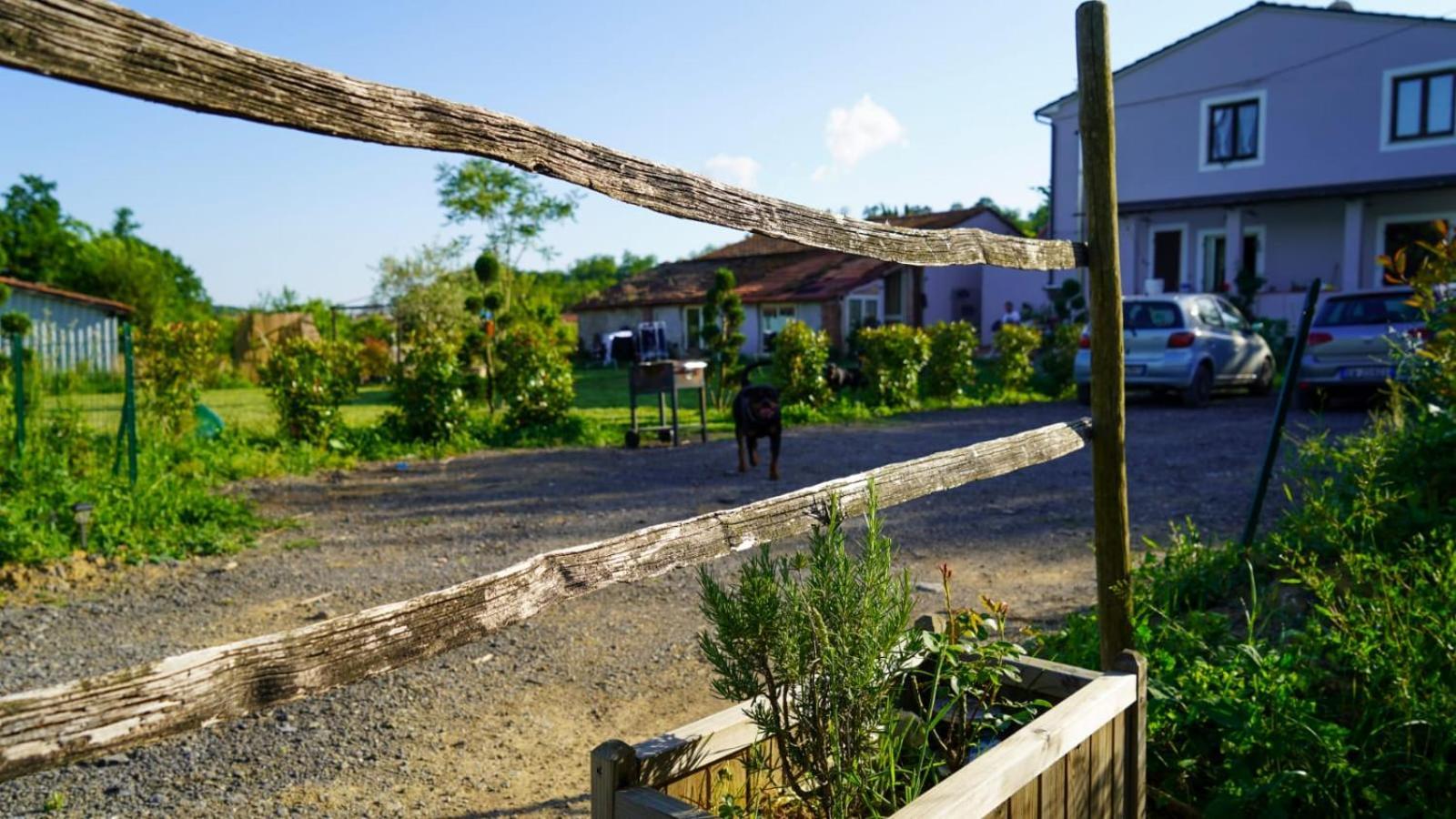 Appartamento La Casa Nella Vigna Colline Del Vino Capannori Esterno foto